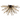 A1 – Rigel 8 Light Semi-Flush Matt Black and Champagne Glass