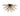 A1 – Rigel 8 Light Semi-Flush Matt Black and Champagne Glass