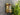 Portland Wall Light Raw Brass