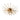 Harper 4 Light Glass Shard Semi Flush Antique Brass