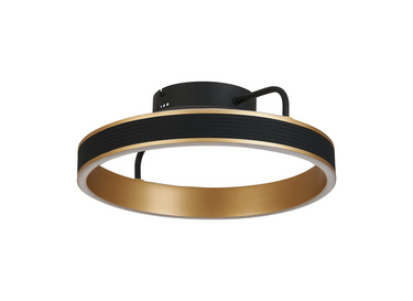 Tanner 40cm Round LED Flush, Black &  Gold Finish