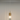 Arcadia IP44 1LT Pendant Brushed Gold