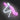 Unicorn Neon Sign