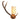 Antler Wall Light Left Hand C/W Shade