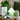 Shroom Pale Green Table Lamp