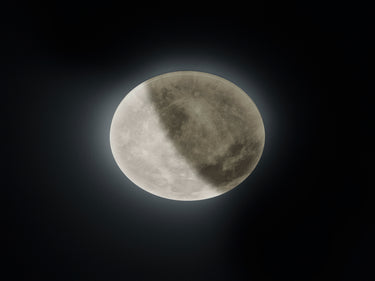 Lunar Large Flush